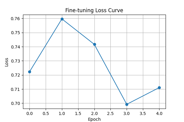Fine-tuning Loss Curve